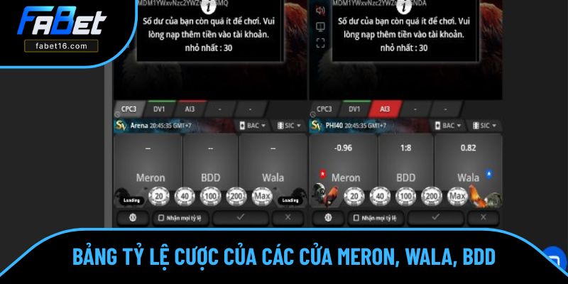 Bảng tỷ lệ cược của các cửa Meron, Wala, BDD