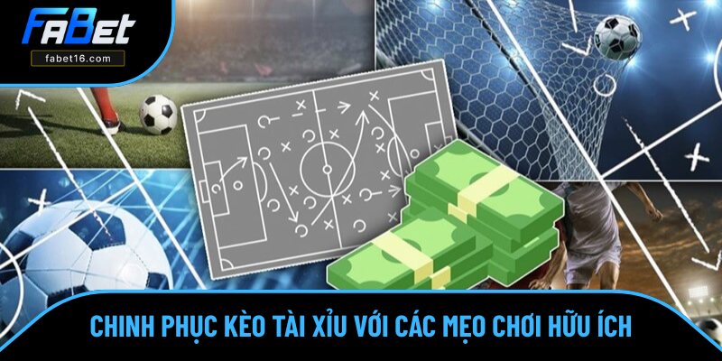 Kinh nghiệm tham gia dễ thắng đậm