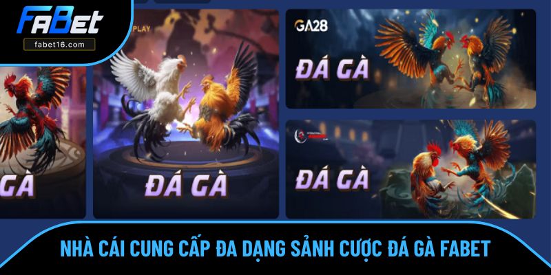 Đá gà FABET với 4 sảnh cược hấp dẫn