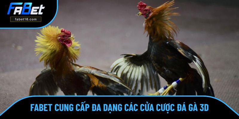 FABET cung cấp đa dạng các cửa cược đá gà 3d FABET cung cấp đa dạng các cửa cược đá gà 3d