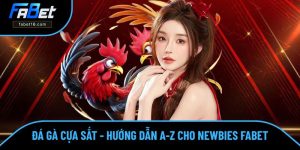 Đá Gà Cựa Sắt - Hướng Dẫn Chi Tiết A-Z Đơn Giản Tại FABET