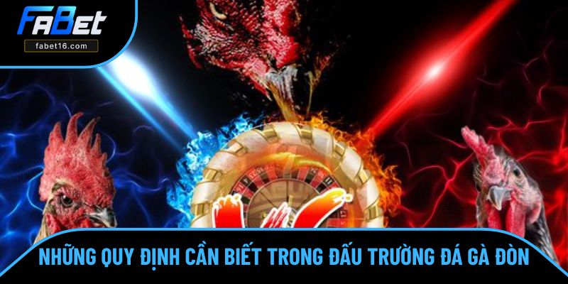 Đá gà đòn và những nguyên tắc cần nhớ khi trải nghiệm