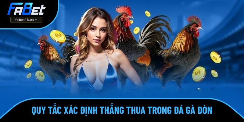 Khám phá bộ quy tắc xác định thắng thua trong đá gà đòn