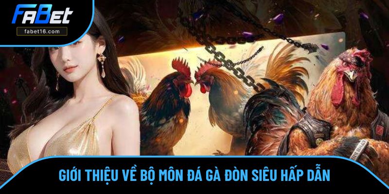 Đá gà đòn là bộ môn đặt cược đầy thú vị của FABET