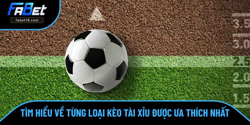 Danh sách các hình thức được áp dụng nhiều